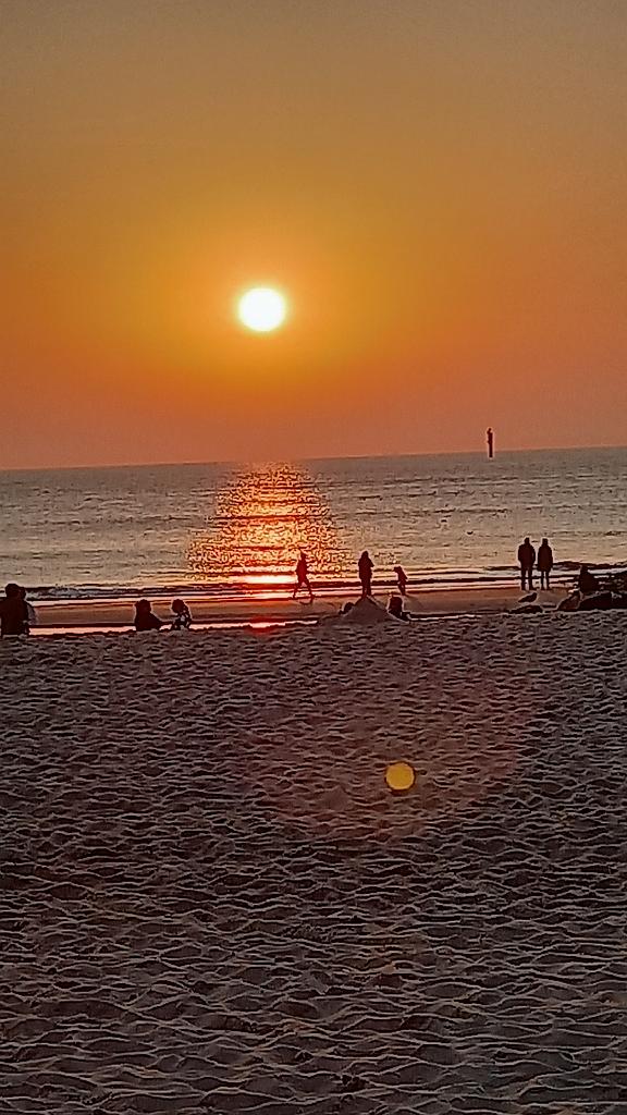 Sylt (58)